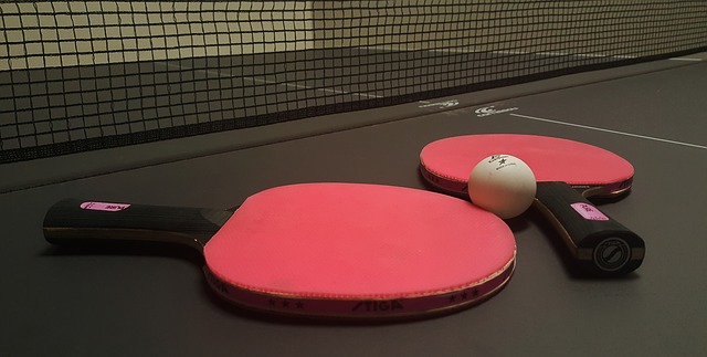 Disfruta en familia con una Mesa de Ping Pong adaptable