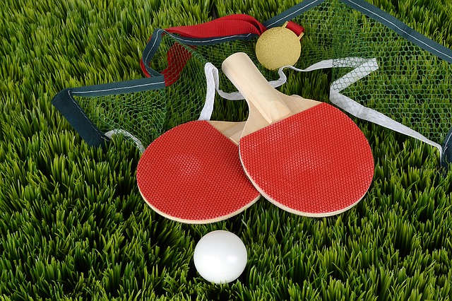 Palas de Ping Pong, el accesorio perfecto para tu mesa de ping pong